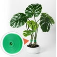 thumbnail image 6 of 3Roll Green Plant Tape 16.4 Ft × 0.57 in Multipurpose Reusable Self-Adhesive Plant Tie Supports for Vegetables Tomato Plant, 6 of 8