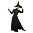 thumbnail image 1 of Goddessey Sorcière Classique Adulte costume Moyen, 1 of 3