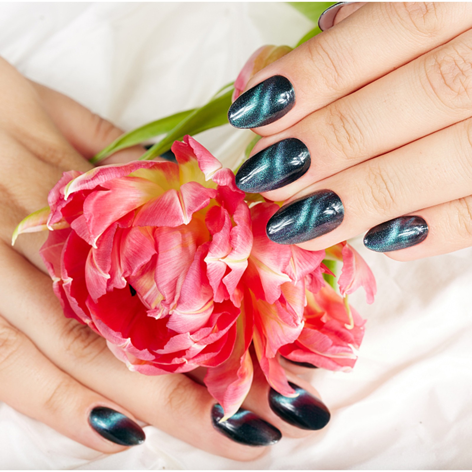 Sunhillsgrace Nail Powder 12 Colors New Nail Dream Quicksand Nail