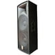 thumbnail image 2 of Bafle Tipo Concert 2 x 15 professional ANTROLITE CHHD-F1215, 2 of 5