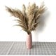 thumbnail image 3 of 30/50 piezas de hierba de pampa, 50 22.8 in de hierba de pampa natural para decoración del hogar, ramo de hierba de flores de caña seca, decoración floral artificial, decoración de boda, 30 unidades, 3 of 5