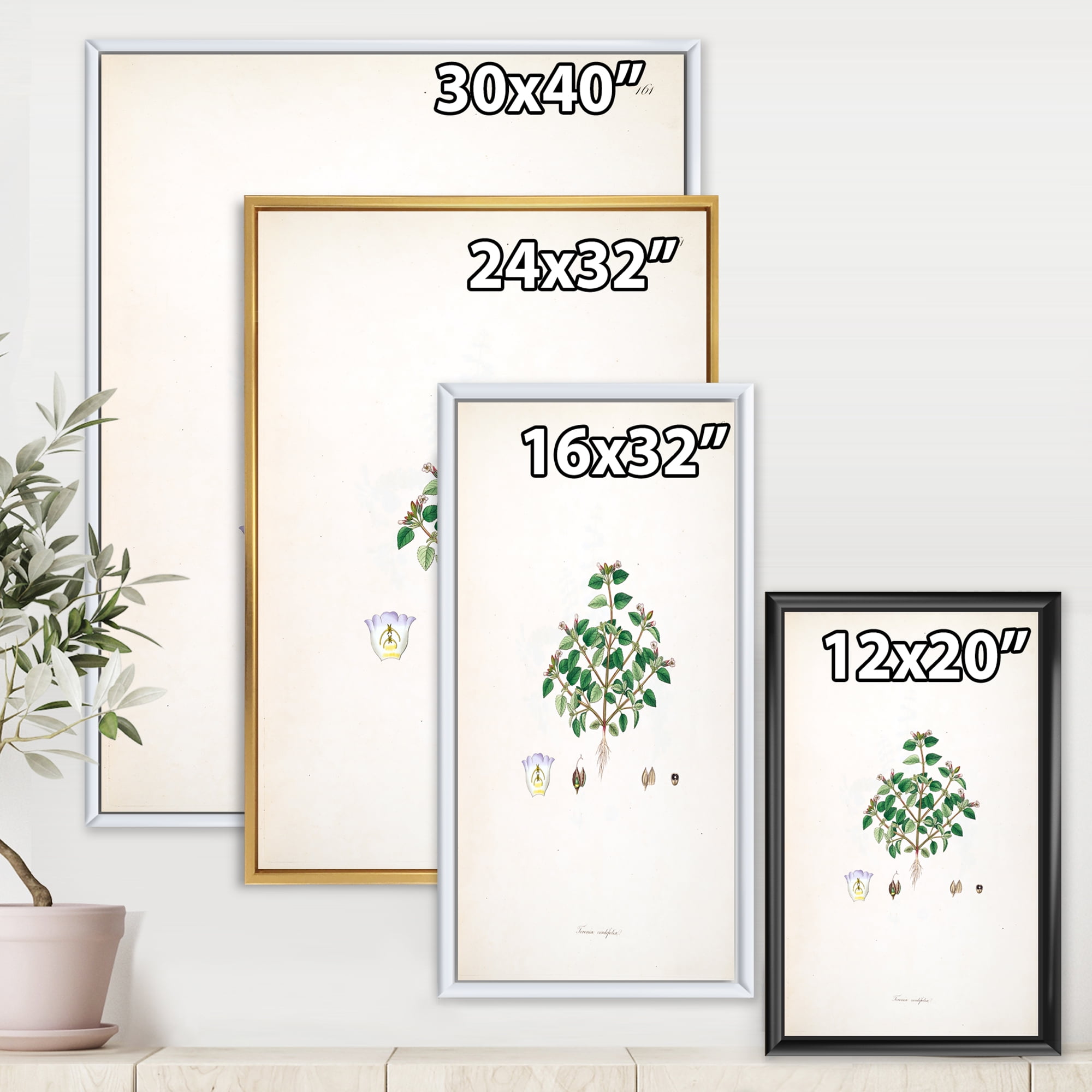 Designart 'Ancient Plant Life XIII' Farmhouse Framed Canvas Wall Art Print