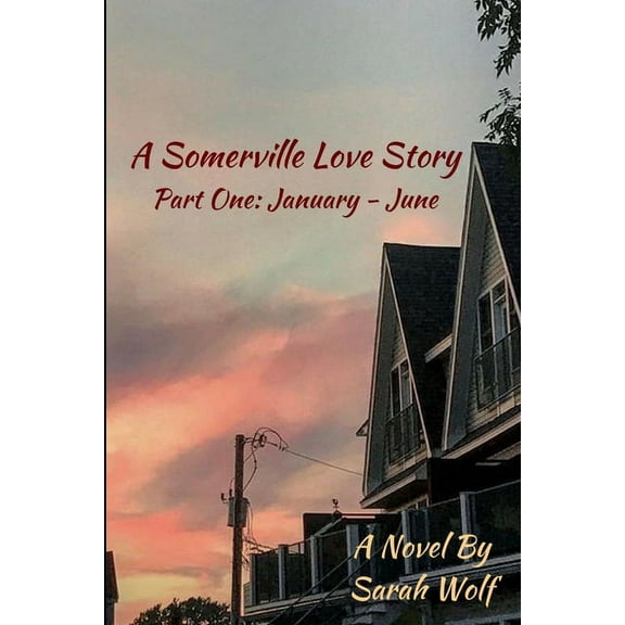 A Somerville Love Story (Paperback)
