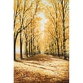 thumbnail image 3 of Nawrocke, Bruce 17x24 Black Modern Framed Museum Art Print Titled - Falls Cathedral, 3 of 5
