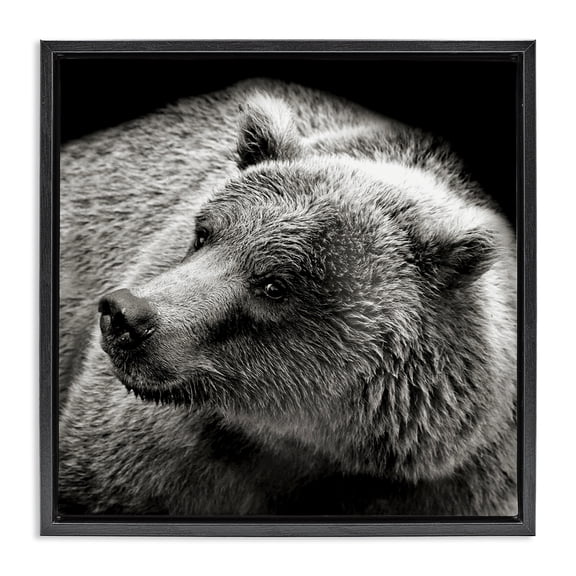 Stupell Industries Farmhouse Bear Looking Left Black Floating Frame Canvas Art, 18 x 18, by Kathy Mansfield