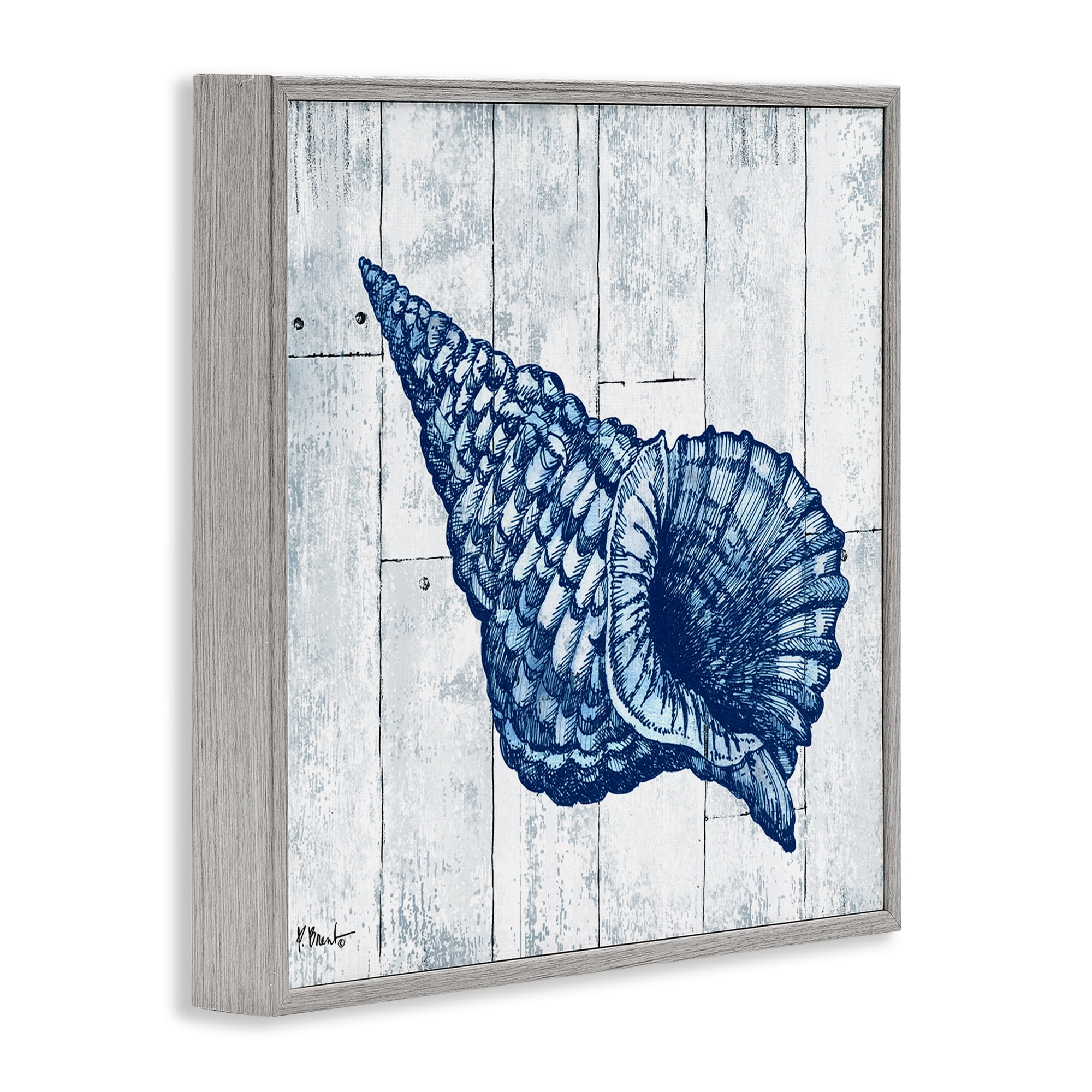 Stupell Industries Coastal Timberland Conch Gray Framed Giclee Art, design by Paul Brent
