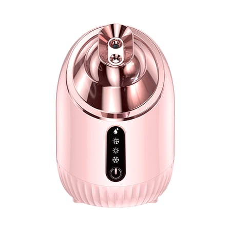 Sinyiin Facial Steamer NanoIonic Facial Steamer Warm Mist Humidifier Atomizer Sprayer Moisturizing Face Steamer Home SPA