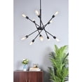 thumbnail image 3 of Axel 10 lights black pendant with hanging rod, 3 of 9