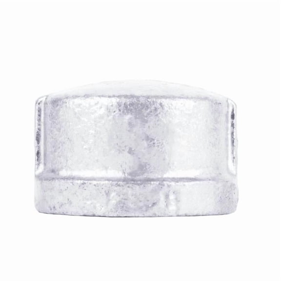 STZ Industries 1-1/4 in. FIP each Galvanized Malleable Iron Cap
