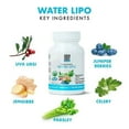 Natural Water Lipo Diuretic Cleanse Electrolytes & Vitamins (21