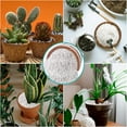thumbnail image 7 of 6 Quarts Organic Horticultural Perlite for Plants Indoor- Natural Horticultural Soil Additive Conditioner Mix for Improves Drainage, Ventilation and Root Growth, 7 of 7
