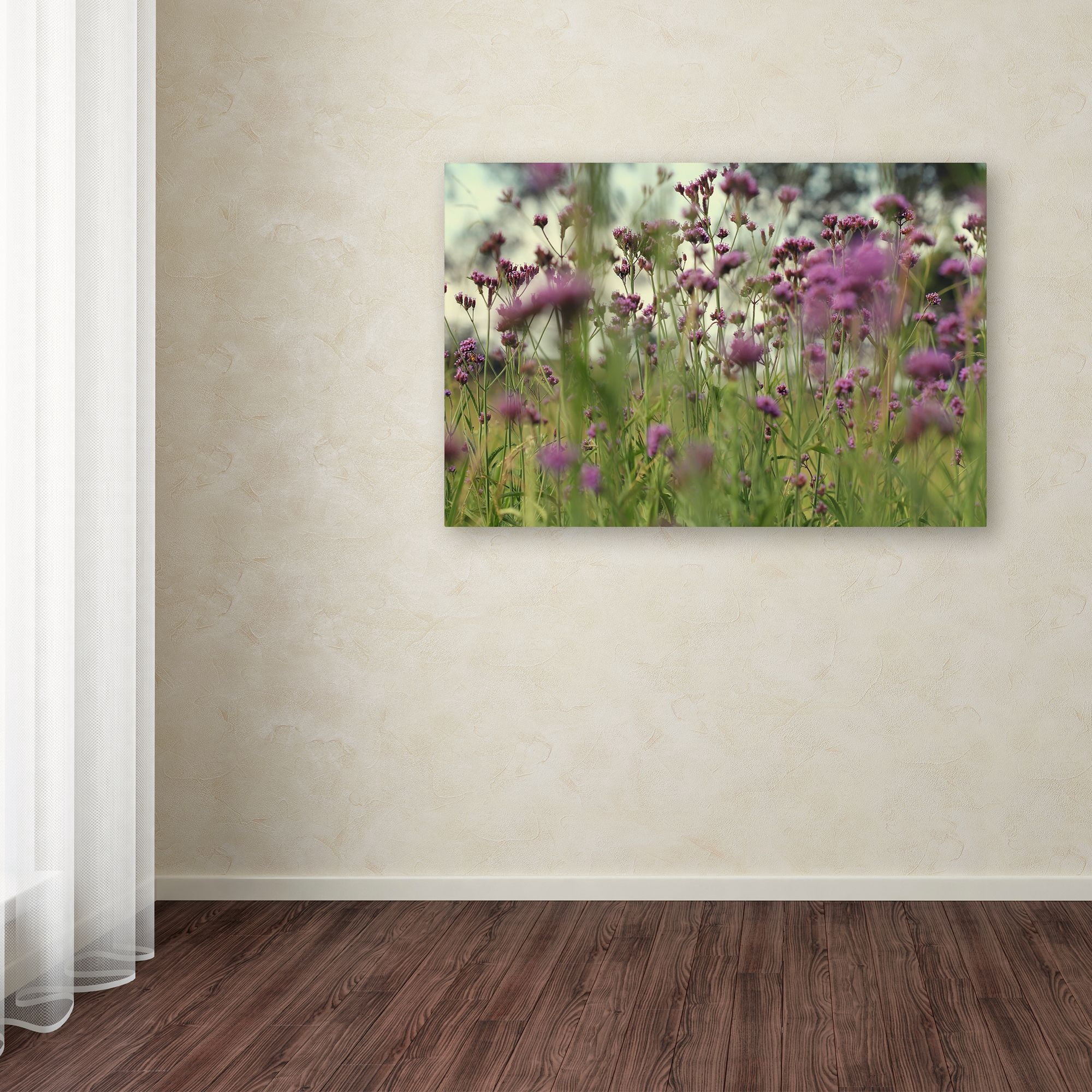 Trademark Fine Art "Field of Purple" Canvas Art by Beata Czyzowska Young