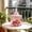C, variant on Gallickan Vintage Ribbed Glass Jar with Lid, Candy Trinket Storage Container, Classic Ribbed Texture, Decorative Home Organizer for Kitchen Bathroom