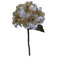 thumbnail image 1 of Vickerman O146711 Vickerman 29" Cream Velvet Hydrangea Artificial Christmas Pick, 1 of 2