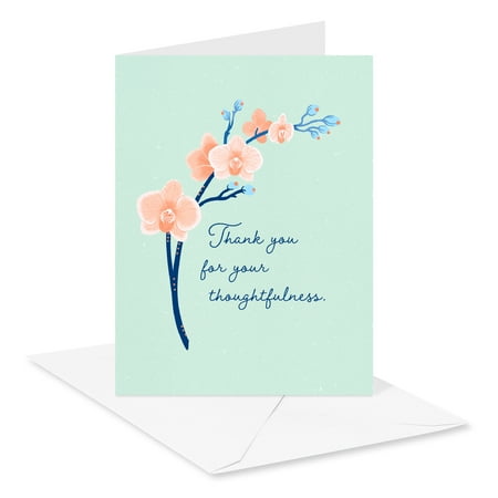 American Greetings Thank You Card Stationery Notes, Thoughtfulness (10-Count)