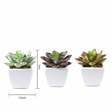 Faux Succulent BalsaCircle 3 pcs 4-Inch Assorted Artificial Faux Echeveria Succulent Plants with Off White Pots Home Wedding Tabletop Decorations ()