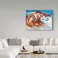 thumbnail image 3 of Trademark Fine Art 'Wind Of Thunder Indian War Horse' Canvas Art by Marcia Baldwin, 3 of 3