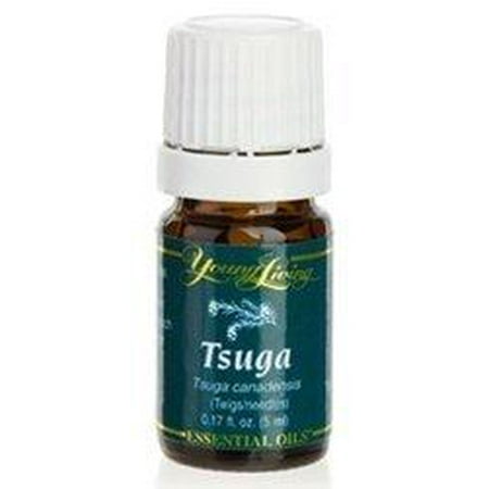 Vitality Ginger 5 ml Young Living Essential Oils
