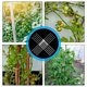 thumbnail image 3 of BRIGHTFUFU 1Jgo De Soporte Para Plantas De Acrílico Transparente Ideal Para Enredaderas Y En El Hogar, 3 of 8