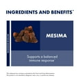 thumbnail image 4 of Host Defense Mesima Capsules - 60 Capsules (30 Servings), 4 of 7