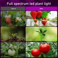 thumbnail image 2 of Plant Grow Light Floor Lamp Floor Model Full Spectrum Sunlight Large Potted Plant Fill Light 3/9/12 Hours Timing 10 Levels Dimming, 2 of 5