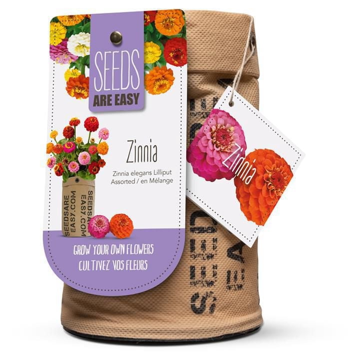 Seeds are Easy-Zinnia