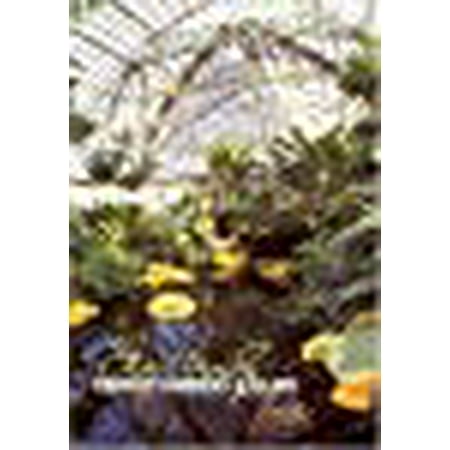 Chihuly - Gardens & Glass (Best Time To Visit Chihuly Garden And Glass)