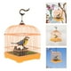 thumbnail image 5 of Pájaro cantor realista en jaula. Juguete para pájaros activado por sonido con sonidos y movimientos. Juguete para pájaros enjaulado a pilas., 5 of 5