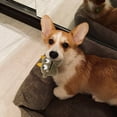 thumbnail image 3 of Jouet Interactif Adorable pour Chats d'Intérieur, 3 of 4