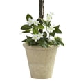 thumbnail image 3 of Nearly Natural 6820 Stephanotis Topiary 3 Pouces avec Jardinière, 3 of 3