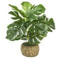 thumbnail image 6 of Artificial Plant, 1.83ft Artificial Split Leaf in a Low Round Handwoven Basket by LCG Florals, Faux Designer Fake Indoor Tree for Living Room, Office, and Home Décor, 6 of 9