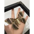 thumbnail image 4 of Moth Butterfly Display Real Frame Shadow Box Insect Art Wall Decor Curiosity Cabinet Nature Decoration Gift For Women Desk Tabletop Or Wall Hanging Home Decor K16-42-KINH, 4 of 4