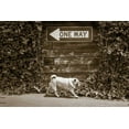 thumbnail image 2 of Dratfield, Jim 24x17 White Modern Wood Framed Museum Art Print Titled - Which Way, 2 of 4