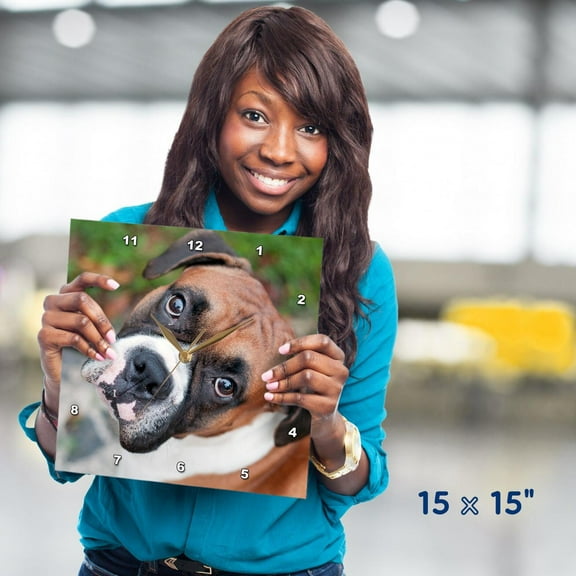 3dRose, Cute boxer dog portrait canine, 15x15 Wall Clock