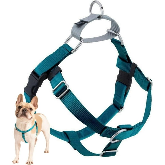 2 Hounds Design Freedom No-Pull Harness ONLY, Large Teal