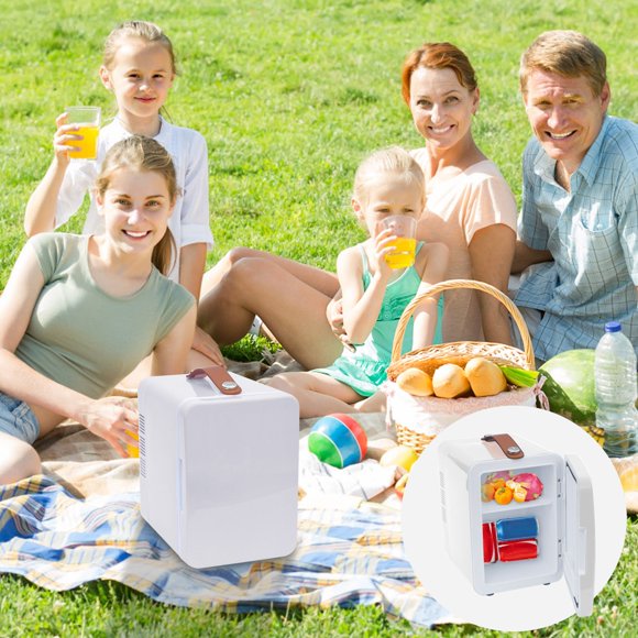 PEONAVET Plastic Mini Refrigerator Plastic Mini Refrigerator 2in1 Mini Fridge 4L Small Mini Bar with Cool and Heat Function Portable 110V AC Portable Small Fridge for Car Cosmetics Drinks Fruit