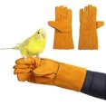 thumbnail image 1 of Guantes antiarañazos y mordeduras para entrenamiento de aves, para periquitos, cacatúas, cotorras, agapornis, loros, pinzones, guacamayos, periquitos africanos, lagartos, 1 of 5