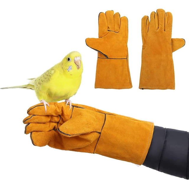 Guantes antiarañazos y mordeduras para entrenamiento de aves, para periquitos, cacatúas, cotorras, agapornis, loros, pinzones, guacamayos, periquitos africanos, lagartos