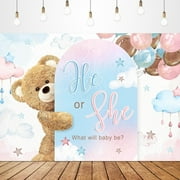 Bear Gender Reveal Backdrop Feet He or She Pink or Blue Boho Floral What Will Baby Be Cloud Stars Cute Lovely Arch Newborn Party Decorations Photoshoot Background Booth Studio