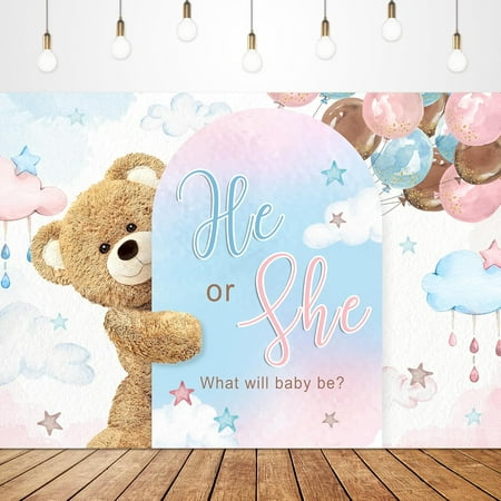 Bear Gender Reveal Backdrop Feet He or She Pink or Blue Boho Floral What Will Baby Be Cloud Stars Cute Lovely Arch Newborn Party Decorations Photoshoot Background Booth Studio