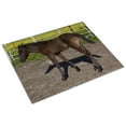 thumbnail image 3 of Print: Young Animals Are Everywhere In The Spring In Rural Alabama, 2010, 3 of 4