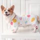 thumbnail image 5 of S Pijamas para perros, mono para perros con lindos pijamas para perros de 4 patas para perros pequeños y medianos, 5 of 5