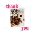thumbnail image 1 of Fruits Tropicaux Frais Litchi Image Merci Autocollants Citation Reconnaissante, 1 of 3