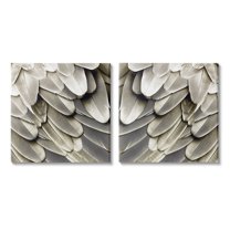 Stupell Industries Feathered Bird Wings Lovely Close Up Photography, 24 x 24, Design by Julia Bosco