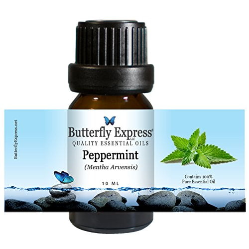 Peppermint (Mentha arvensis) Essential Oil 10ml 100 Pure by Butterfly Express