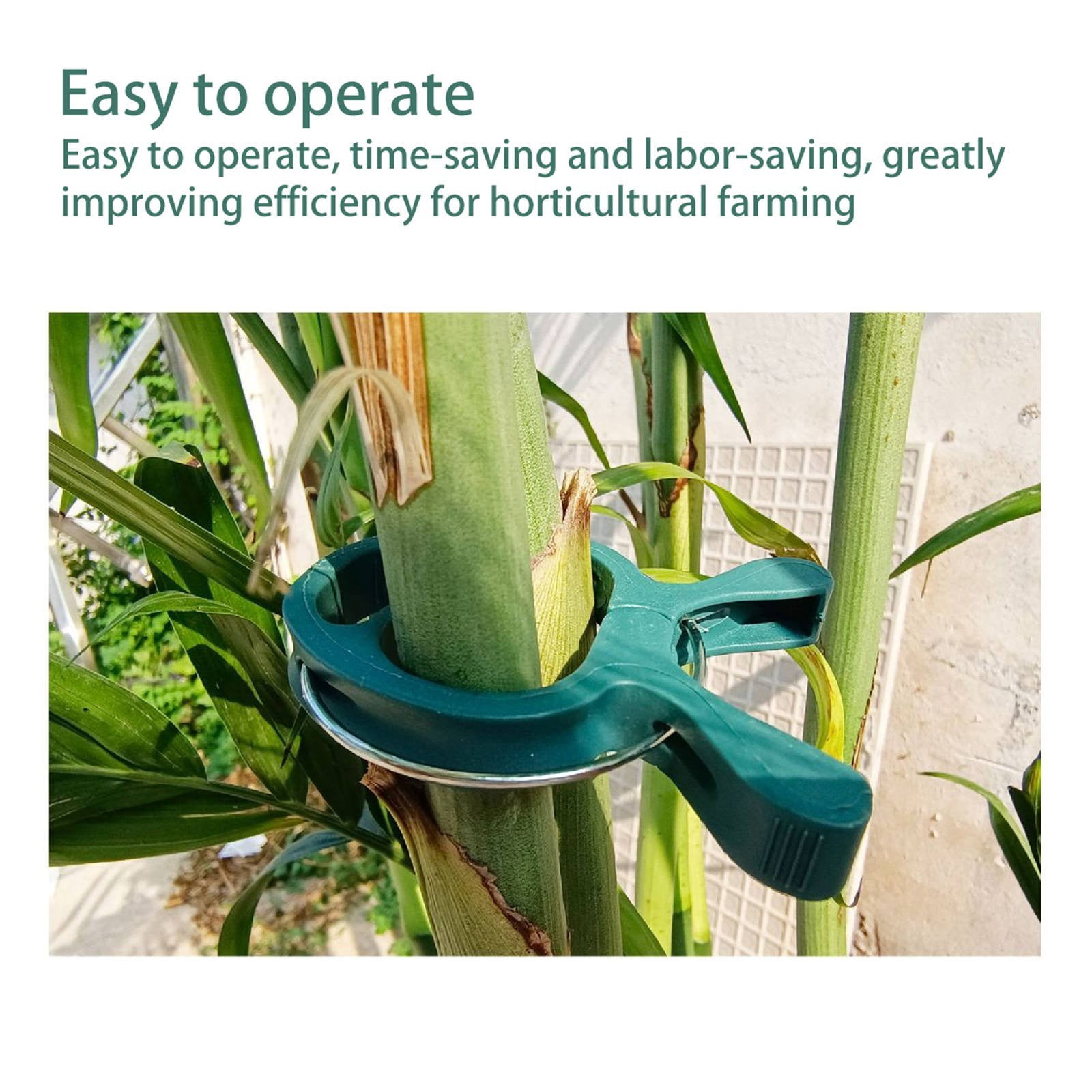 SMKE Reusable Garden Plant Clips - Flexible Plastic Vine Support For Tomato Cages Greenhouses,Vine Stem Holder,Plant Support Clips 20pcs - Small Swallow Shape Garden Vine Clip for Tomato Flower Stem