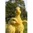thumbnail image 2 of Estatua de jardín de resina con forma de patitos juguetones de Hi-Line Gift Ltd., 2 of 7