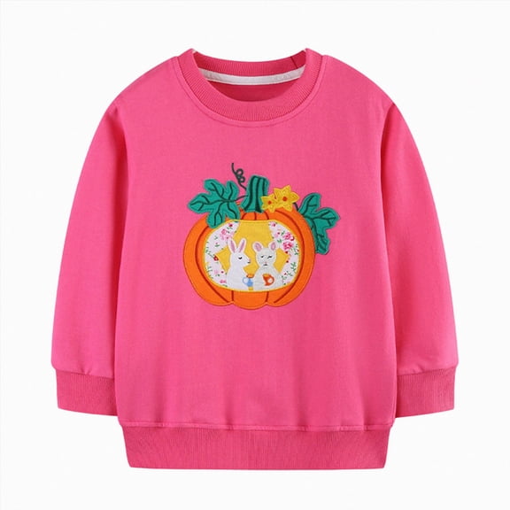 xaweyi Girls Fall Winter Clothes Round Neck Sweatshirt Fashionable Cartoon Printed Long Sleeved Top,Sizes 1-2 Years
