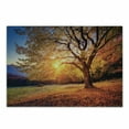 thumbnail image 1 of Fall Tree Cutting Board, Big Majestic Autumn Tree Shedding Faded Leaves on the Hill Slop Seasonal Landscape, Decorative Tempered Glass Cutting and Serving Board, Small Size, Brown, by Ambesonne, 1 of 1