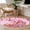 Pink, variant on Area Rug for Living Room, Valentine's Day Non-Slip Indoor Large Carpet for Bedroom/Dining Room, Pink Love Gnomes Roses Ombre Romantic Washable Low-Profile Rectangle Floor Mat Runner Rugs - 2.7 x 5 Ft
